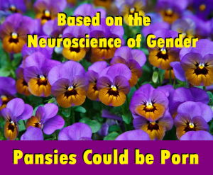 Pansies Could Be Porn